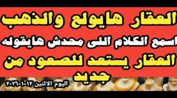 سعر الجنيه الذهب.. استقرار محلي في مصر عند 48320 جنيهاً بمنتصف التعاملات اليومية